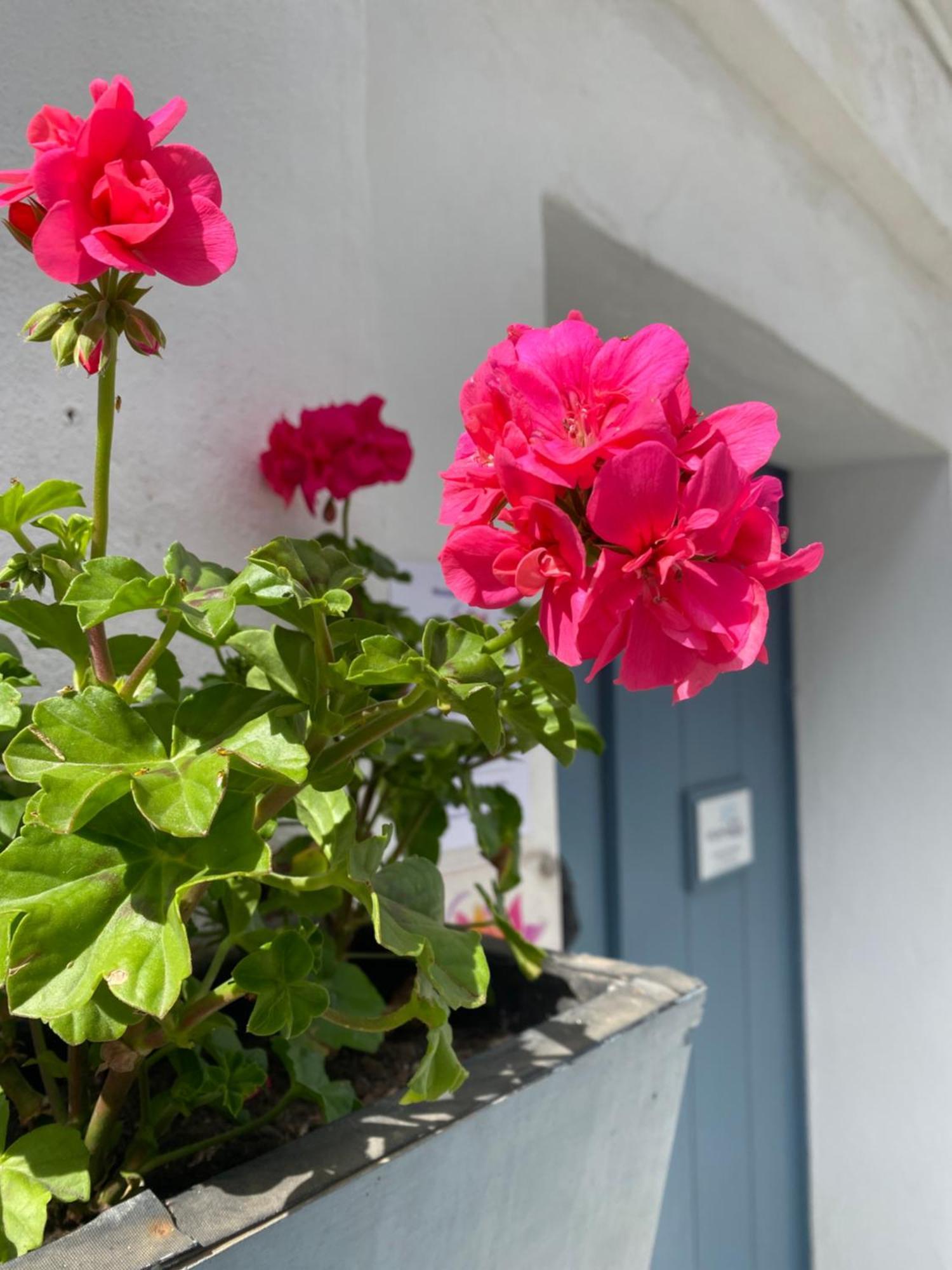 Victoria Seis Hotel Medina-Sidonia Luaran gambar